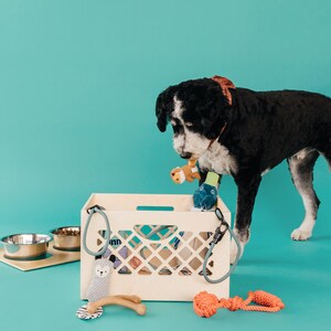 Pet Bowl // Apple Crate // Milk Crate Dog Dish // Food Storage for Pets // Cat Feeder L:18.5 x 13.6 x 11.8