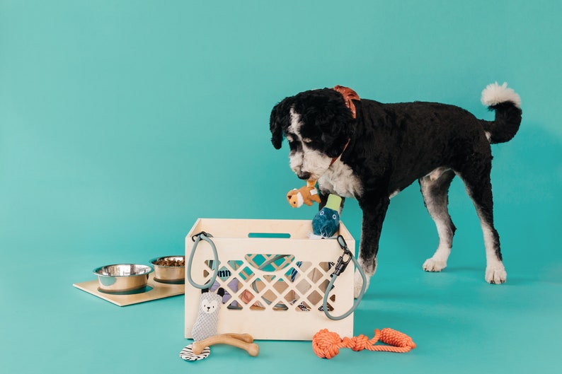 Pet Bowl // Apple Crate // Milk Crate Dog Dish // Food Storage for Pets // Cat Feeder L:18.5 x 13.6 x 11.8