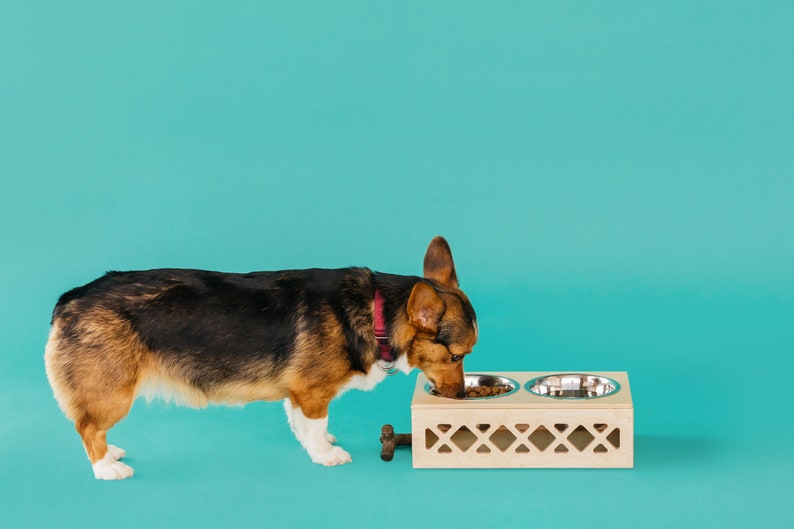 Pet Bowl // Apple Crate // Milk Crate Dog Dish // Food Storage for Pets // Cat Feeder S: 14.25 x 8 x 4.5