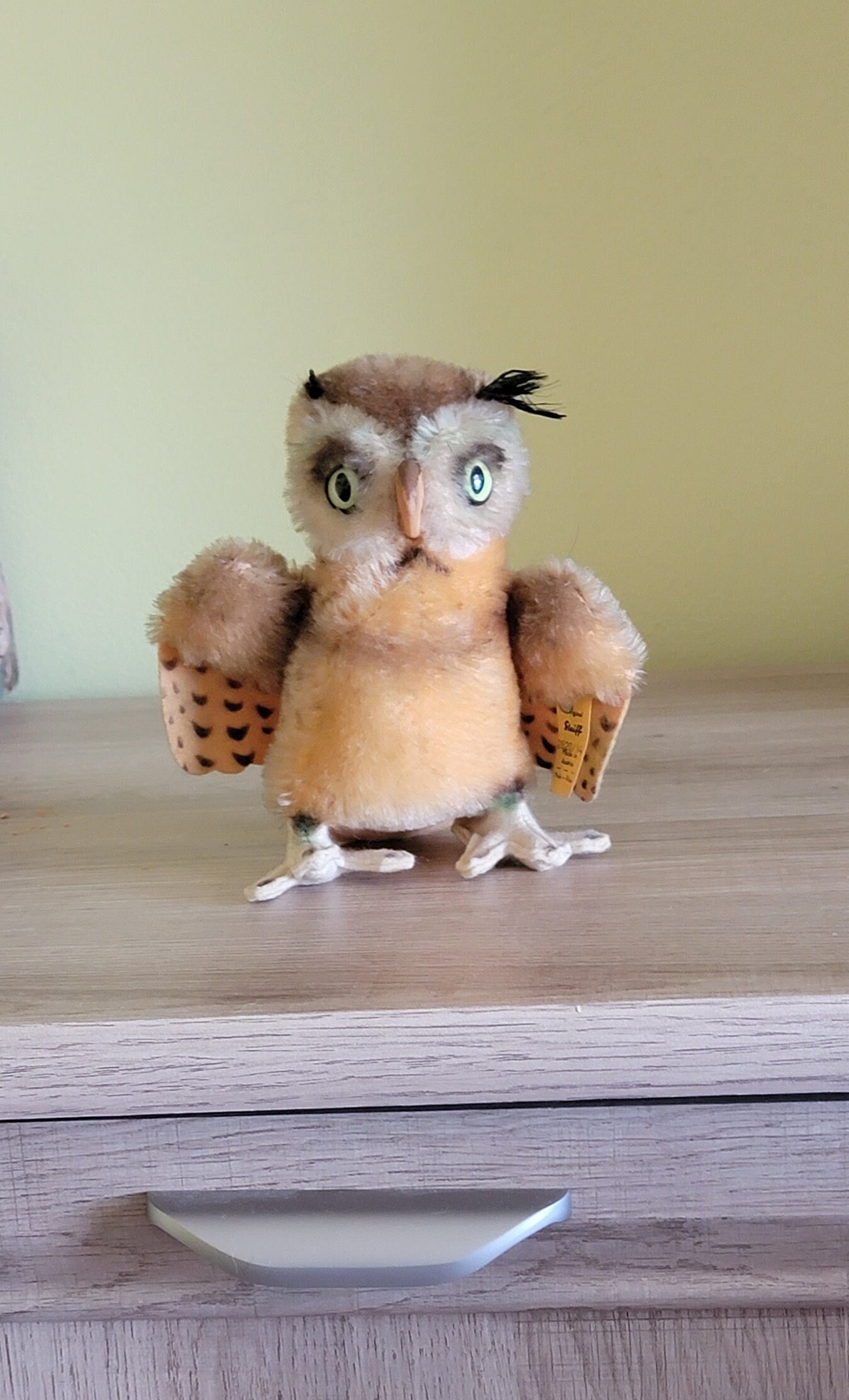 Steiff buttons for sale sale