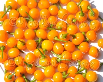 Aji Charapita Pepper Seeds - Chili Pepper Seeds - Hot Pepper Seeds - Rare Pepper Seeds - Capsicum chinense