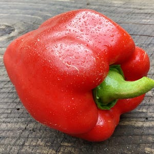 Laylak Pepper Seeds - Sweet Red Pepper