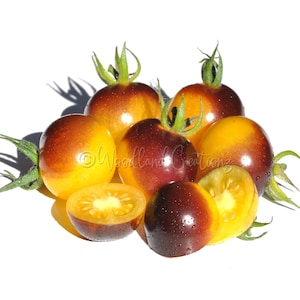 Gold Berries Tomato Seeds - Gold Cherry Tomato - Yellow Cherry Tomato - Heirloom Tomato