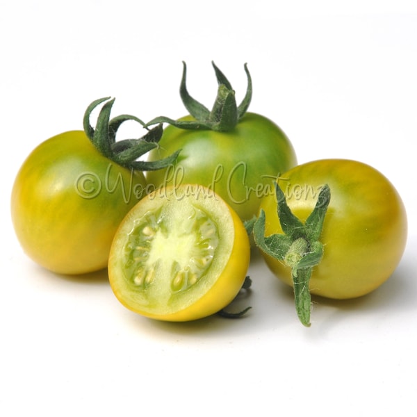 Fat Frog Tomato Seeds - Micro Dwarf Tomato Seeds - Sweet Green Tomatoes