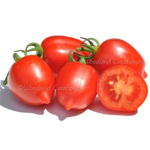 Heartbreaker Tomato Seeds - Micro Dwarf Tomato - Tiny Small Tomato Plants - Organic Red Cherry Fruit Heirloom USA