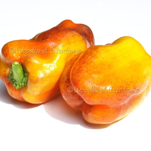 Lesya Sweet Pepper Seeds Etsy
