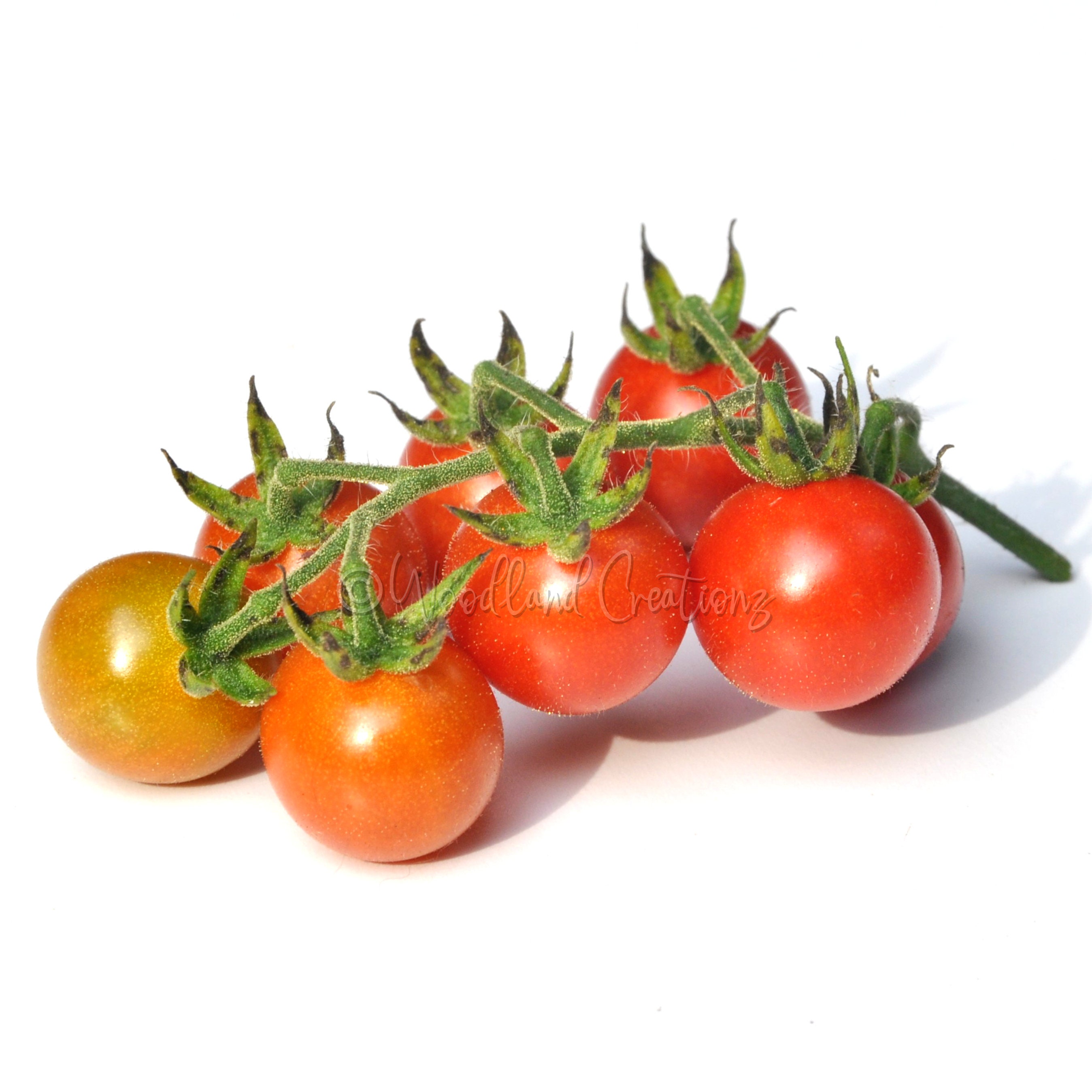 il_fullxfull.4774087487_gk4i.jpg