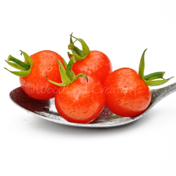 Sweet Aperitif Tomato Seeds Sweetest Small Red Cherry New Organic Open Pollinated Heirloom USA