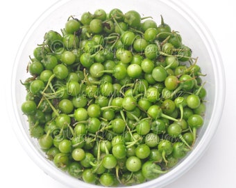 Greenberry Seeds - Rare Fruit - Sweet Berries - Green Fruits - Morelle verte - Solanum opacum