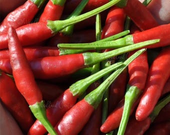 Thai Bird's Eye - Chili Pepper Seeds - Hot & Spicy