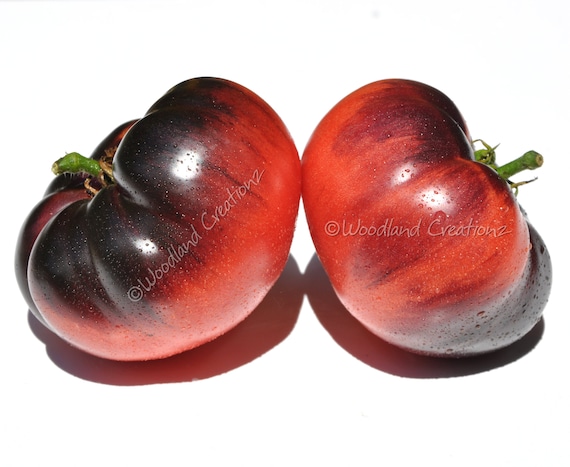 Pink Siberian Tiger Tomato Seeds - Rare Heirloom Beefsteak