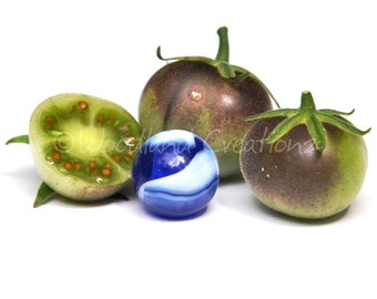 Wilde peruanische Tomate Samen - seltene exotische essbare Solanum Peruvianum