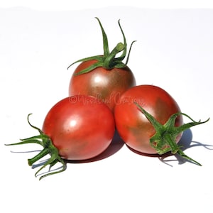 May include: Three ripe tomatoes with deep red and green hues. The tomatoes are arranged in a triangular composition, each with a green stem and leaves. The image is set against a white background.