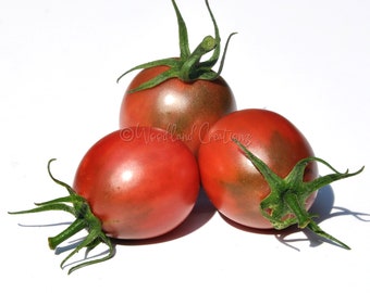 Aces High Tomato Seeds - Cherry Tomato Seeds