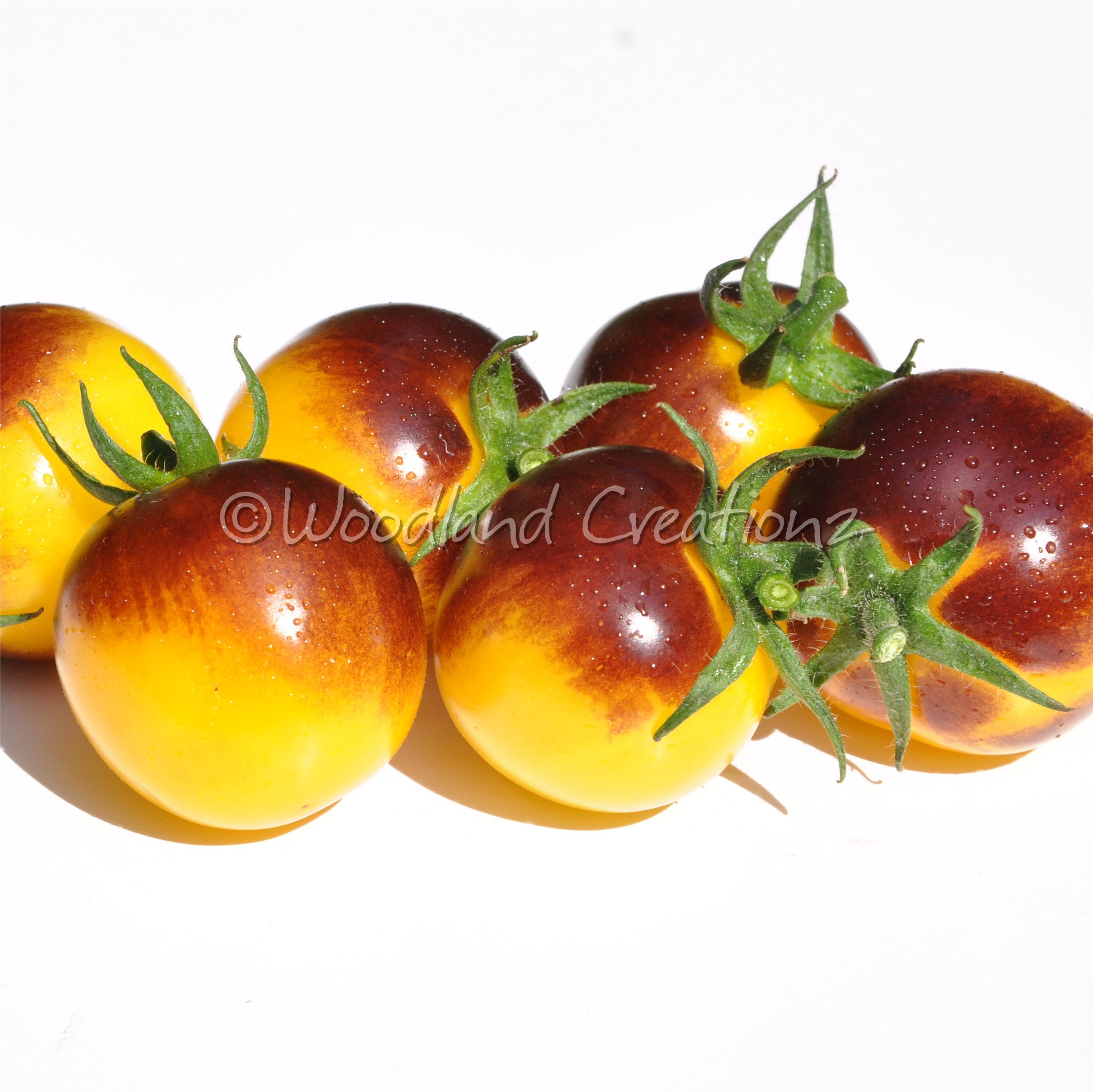 Bosque Blue Bumblebee Tomato Seeds - Yellow Cherry - Organic