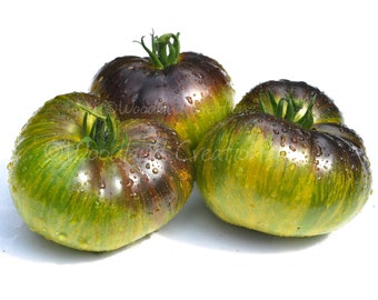 Xanadu Green Goddess Tomato Seeds – Green Beefsteak Variety