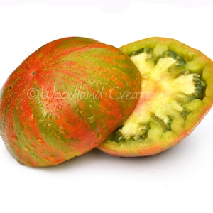 Berkeley Tie-Dye Tomato Seeds - Green Striped Beefsteak - Green When Ripe Tomato Seeds