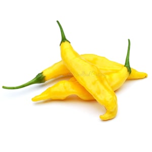 May include: A cluster of bright yellow peppers with green stems against a white background. The peppers have a curved shape and a smooth texture. The image is well-lit, highlighting the vibrant colors and details of the peppers.
