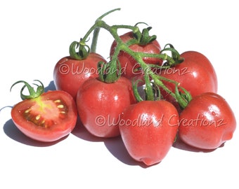 Violet Heart Cherry Tomato Seeds