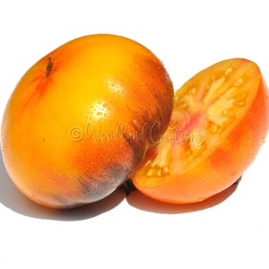 Lucid Gem Tomato Seeds: Yellow Beefsteak Heirloom