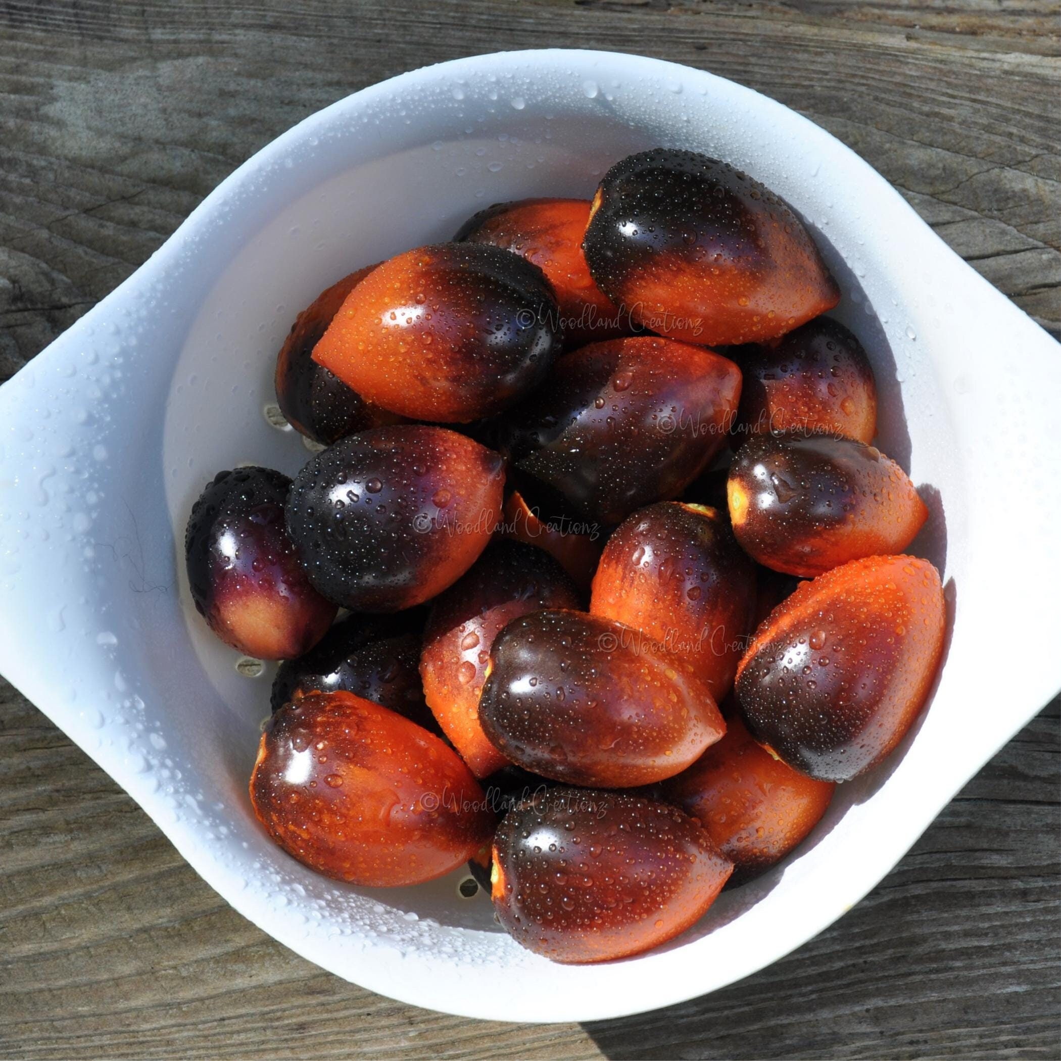 Midnight Roma Tomato Seeds - Paste Tomato - Sauce Tomato - Plum Tomato
