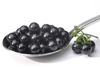 Miltomato Vallisto - Rare Fruit - Sweet Berries - Dark Fruits
