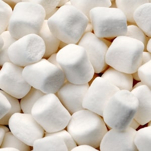 Marshmallow Seeds - Althaea officinalis - Medicinal Plant - Perennial Flower