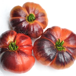 Blue Beauty Tomato Seeds - Pink Beefsteak Tomato - Blue Tomato - Organic Tomato - Open Pollinated Tomato - Heirloom Tomato