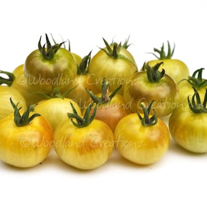 Napa Chardonnay Tomato - Cherry Tomato Seeds - Yellow Cherry Tomato
