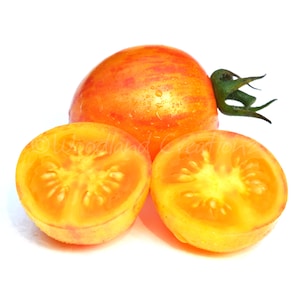 Puede incluir: Primer plano de un tomate maduro y dos mitades, mostrando vibrantes tonos naranja y amarillo. El tomate entero exhibe un patrón rayado, mientras que las mitades cortadas revelan el interior jugoso. Los tallos verdes añaden un toque fresco. Los tomates brillan con gotas de agua.