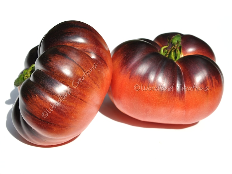 May include: Two heirloom tomatoes with a unique color gradient. The tomatoes transition from a deep purple at the top to a vibrant red at the bottom. The tomatoes have a ribbed texture and are set against a white background.