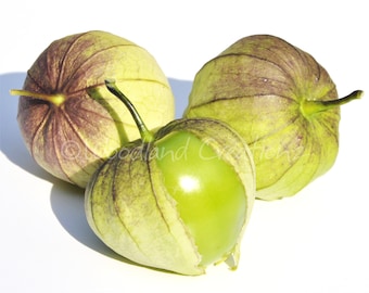 Tomatillo Seeds - Mexican Husk Tomato Seeds - Physalis Philadelphica - Organic Heirloom