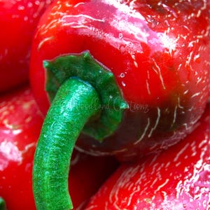 May include: Close-up of vibrant red chili peppers with a bright green stem and calyx. The peppers have a glossy surface with visible water droplets. The text "Woodland Creations" is visible on the image. The image showcases fresh produce.