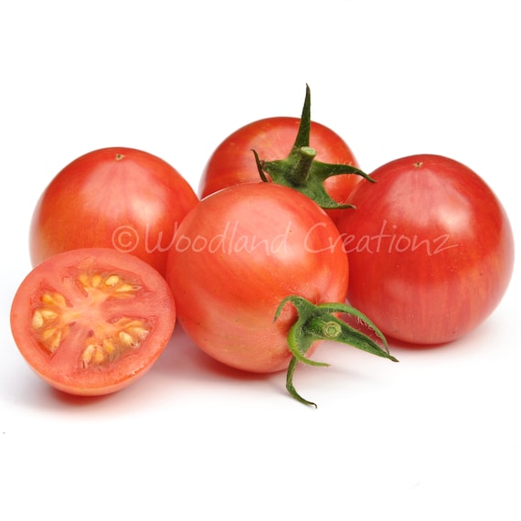 Napa Chardonnay Blush Cherry Tomato Seeds Organic Heirloom Yellow Fruit USA Napa Chardonnay Blush Cherry Tomato Seeds Organic Heirloom Yellow Fruit USA