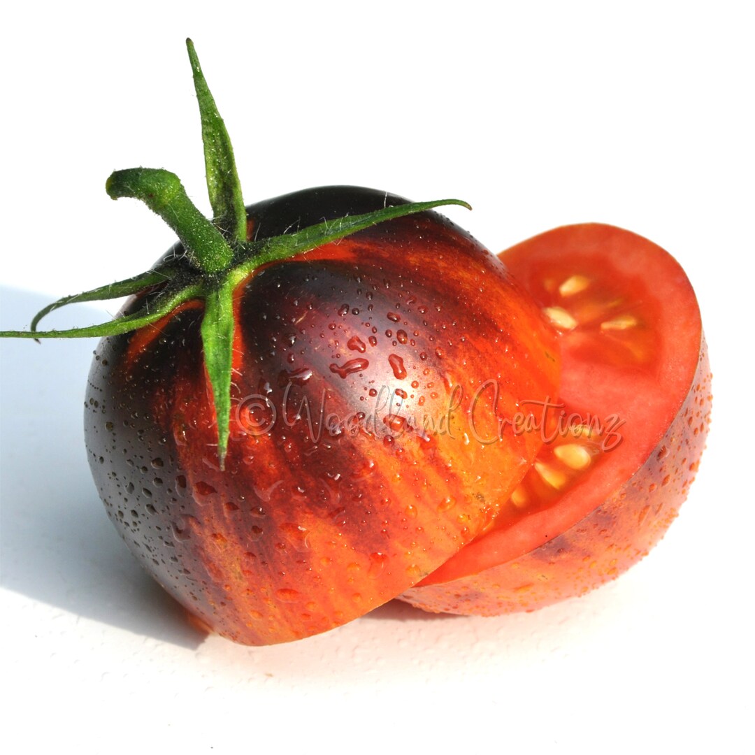 Gargamel Tomato Beautiful Tomato Heirloom Tomato Striped - Etsy
