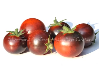 Tomate Inkspot - Semillas de tomate micro enano - Tomates cherry oscuros