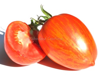 Marzano Fire Tomato Seeds - Paste Tomato - Sauce Tomato - Drying Tomato