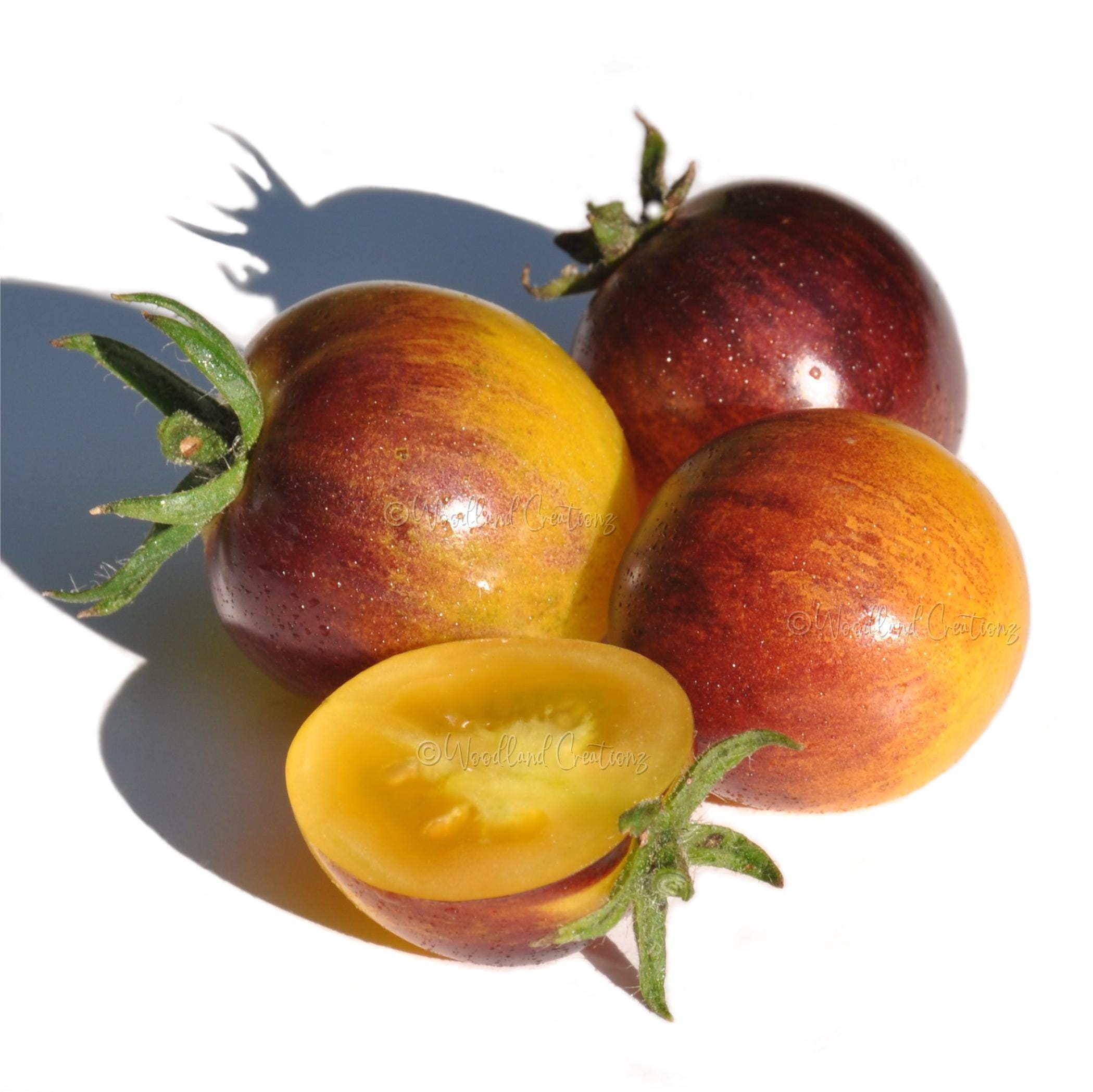 Cosmic Purple Rain Cherry Tomato Seeds - Rare Variety (20 Seeds