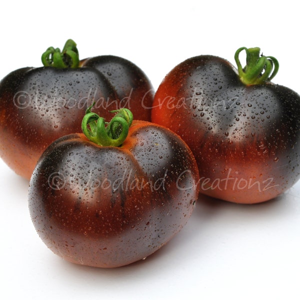 Chestnut Chocolate Tomato Seeds - Dark Tomato - Sweet Tomato - Organic Heirloom -Disease Resistant