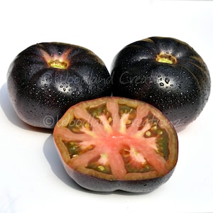 Black Beauty Tomato Seeds - Black Tomato - Black Beefsteak Tomato - Dark Tomato