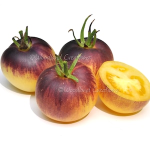 Boules bleues floues - Tomate à peau floue - Graines de tomate rares - Fruits de tomate bleu jaune