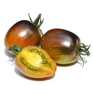 Atomic Fusion Tomato - Brad&#39;s Atomic Fusion Tomato Seeds