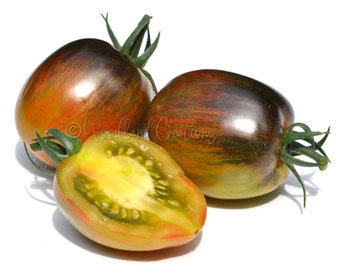 Könnte beinhalten: Drei Erbstücktomaten, eine davon aufgeschnitten, zeigen eine Mischung aus Farben. Die Tomaten haben eine dunkle, fast schwarze Außenseite mit roten und grünen Streifen. Die aufgeschnittene Tomate zeigt ein gelbes Inneres mit sichtbaren Samen.