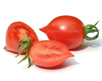 Geranium Kiss Tomato Seeds - Red Pointed Cherry Tomatoes