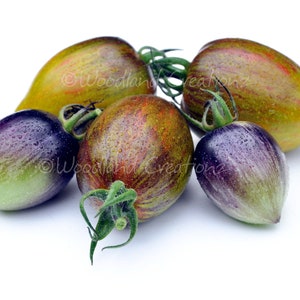 Atomic Grape Tomato Seeds - Brad&#39;s Atomic Grape - Rare Cherry Tomato - Striped Cherry Tomato