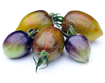Brads Atomic Grape Tomatensamen - Seltene Kirschtomate