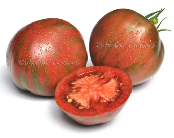 May include: Three heirloom tomatoes, two whole and one halved, showcasing a vibrant mix of red and green stripes. The cut tomato reveals a juicy interior with visible seeds. The tomatoes are fresh, with water droplets on the surface.