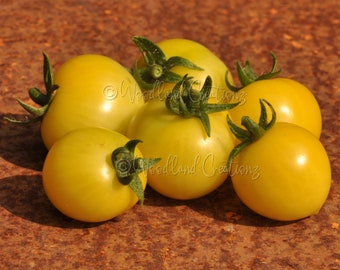 Nebolshoy Limon Tomato - Micro Dwarf Tomato Seeds - Sweet Yellow Tomatoes