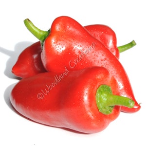 Lipstick Pepper - Sweet Pepper - Early Pepper - Organic Pepper - Open Pollinated - Non Hybrid Pepper