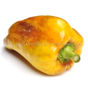 Puede incluir: Un pimiento amarillo con marcas de color marrón rojizo. El pimiento tiene un tallo verde y está sobre un fondo blanco. El texto "Woodland Creations" es visible en el pimiento.